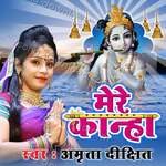 Mere Kanha - Amrita Dixit Song Download